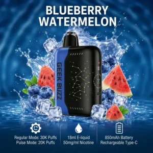 Geek Buzz Pulse X 30000 – Blueberry Watermelon
